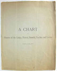 Larynx Chart