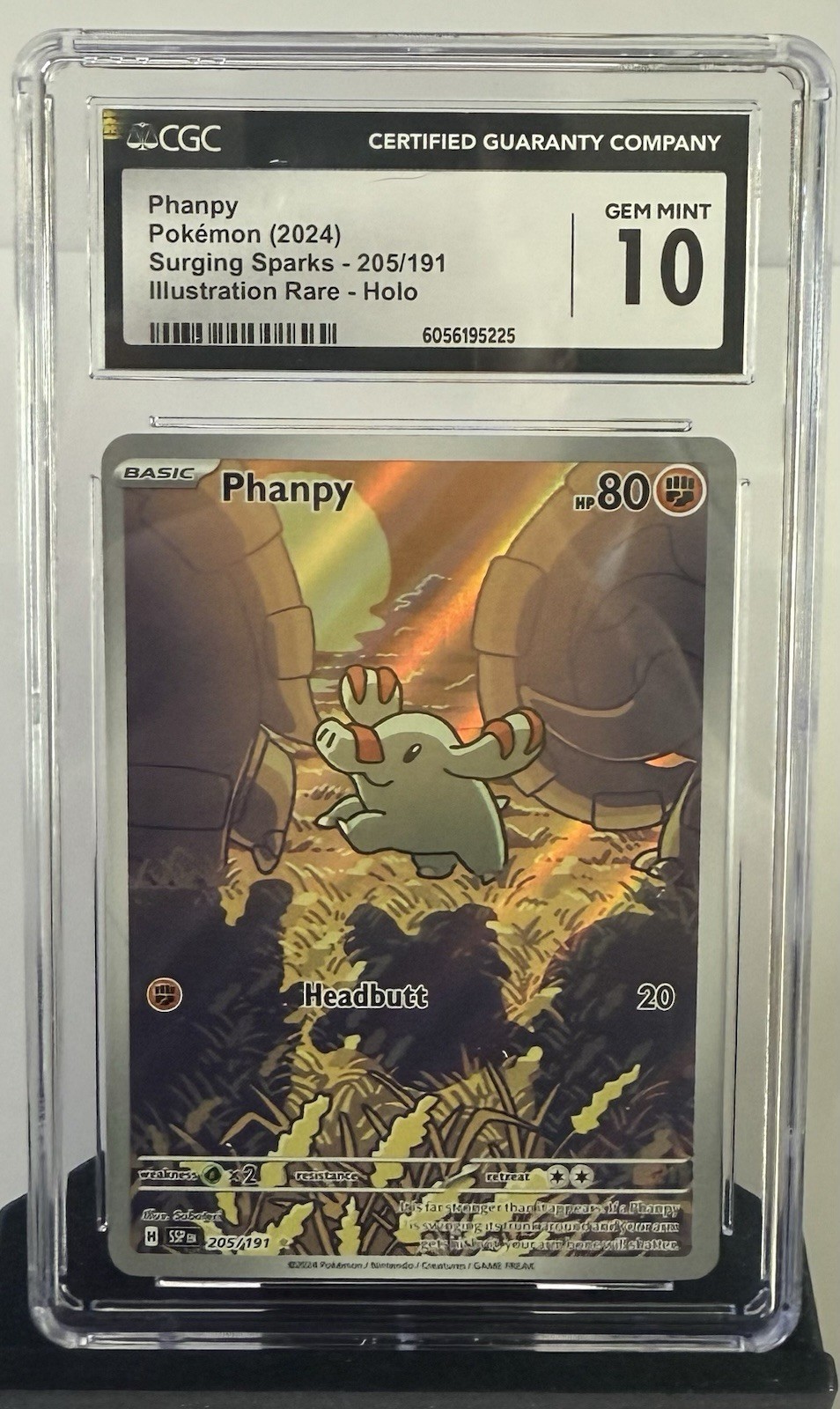 Phanpy Holo Card 205/191 Sv08: Surging Sparks CGC 10