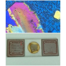  on The Hot Collector