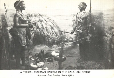 Typical Bushman Habitat in the Kalahari Desert Museum South Africa Postcard