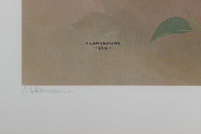 James Fenwick Lansdowne Lithograph Hand Signed Black Billed Cuckoo