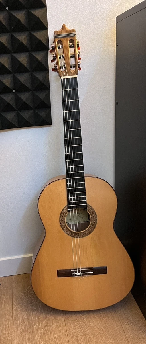 Flamenco Guitar