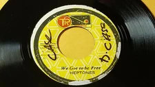 THE HEPTONES - WE GOT TO BE FREE  Roots /REGGAE 45"  TR GROOVEMASTER