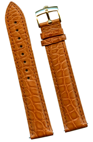 Cinturino Coccodrillo Originale Marrone in Pelle 19mm Band \u0026 Genuine ROLEX  Fibbia Oro | eBay