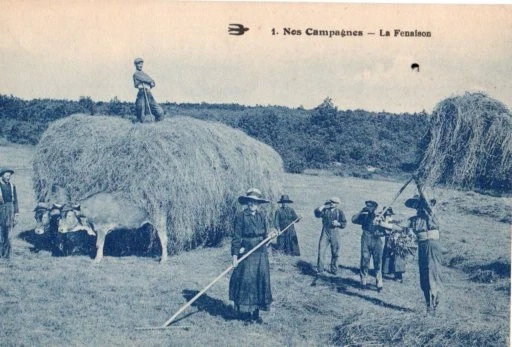 CPA DEBUT 1900 NOS CAMPAGNES LA FENAISON - Photo 1/1