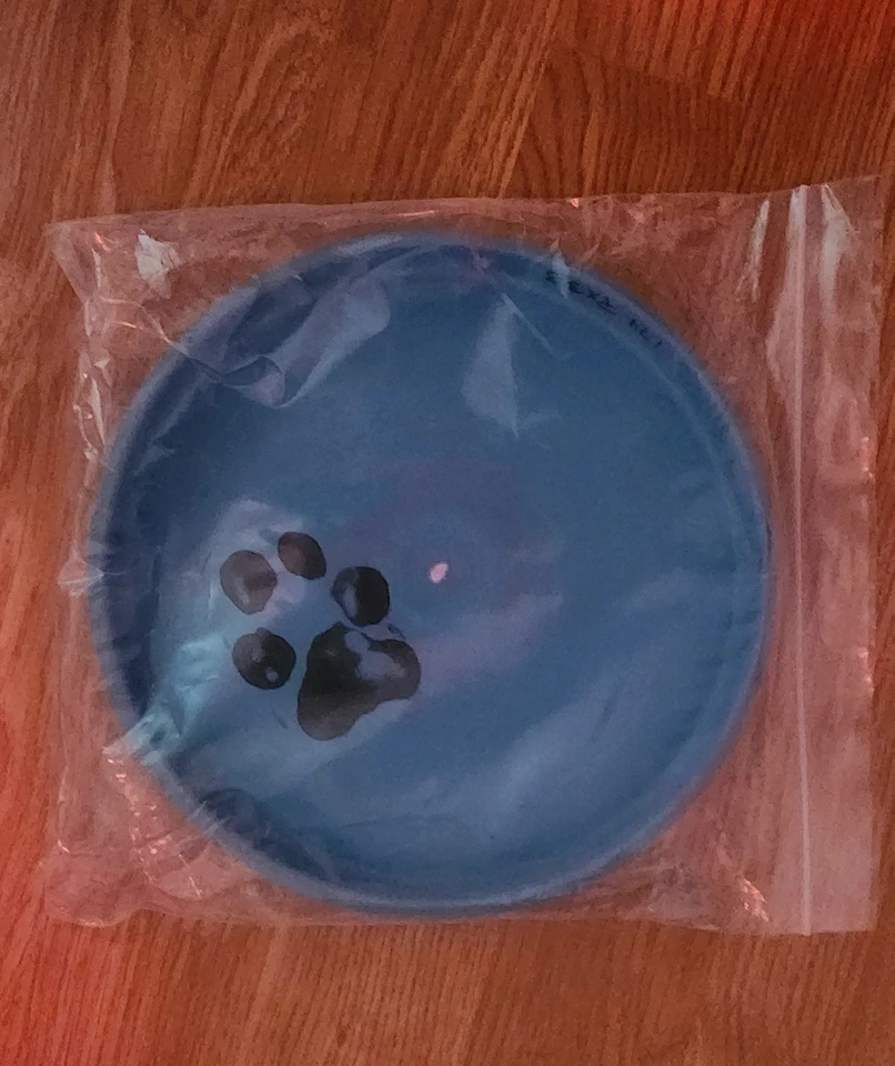 50 Good Disc Golf +3 Minis, 1 Signed, 21 Putters, 5 Mids Various Driver Discs - Image 3 of 4