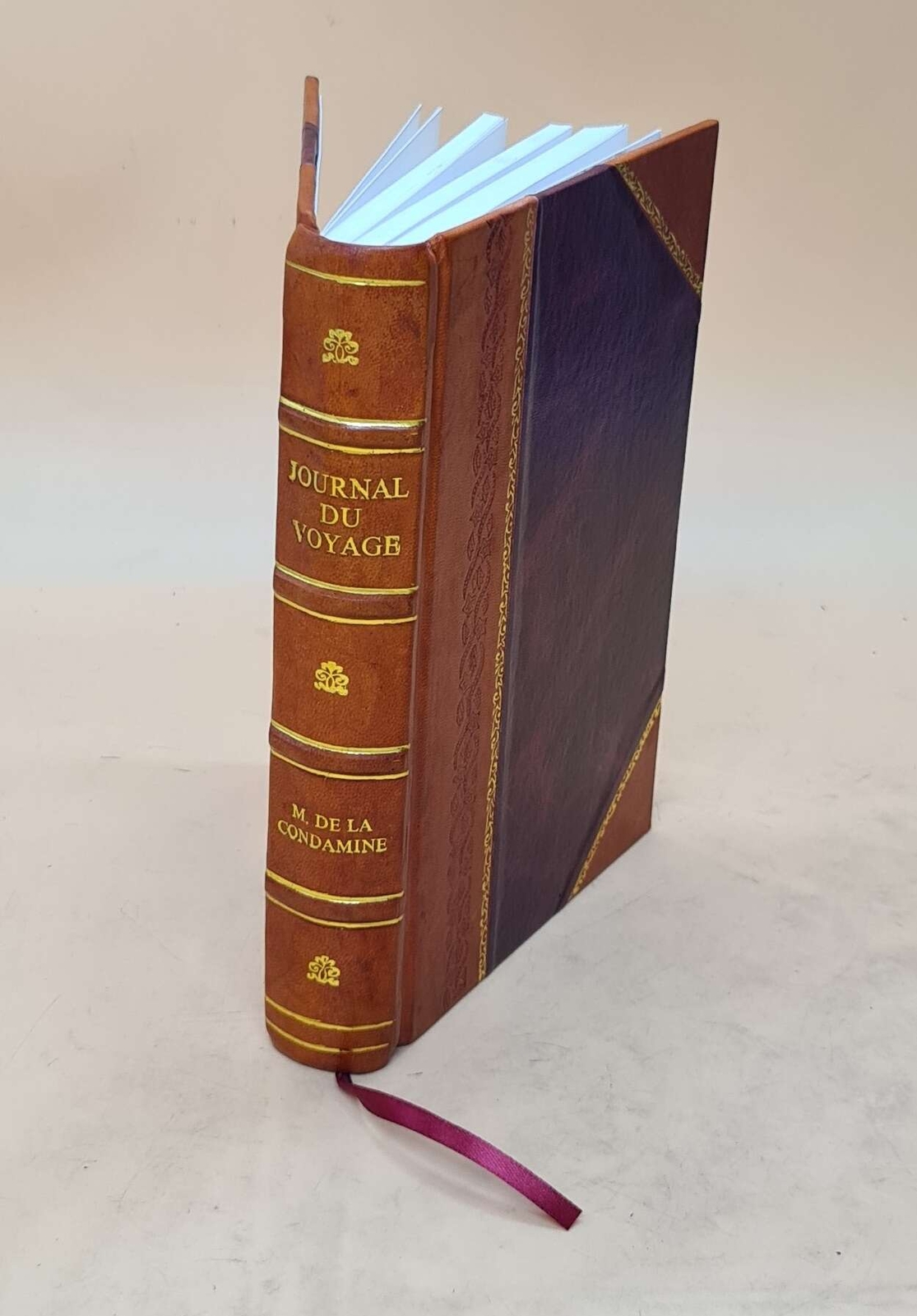 Ancient Leather-Bound Journal of Royal Ecuador Expedition by Louis Godin-image