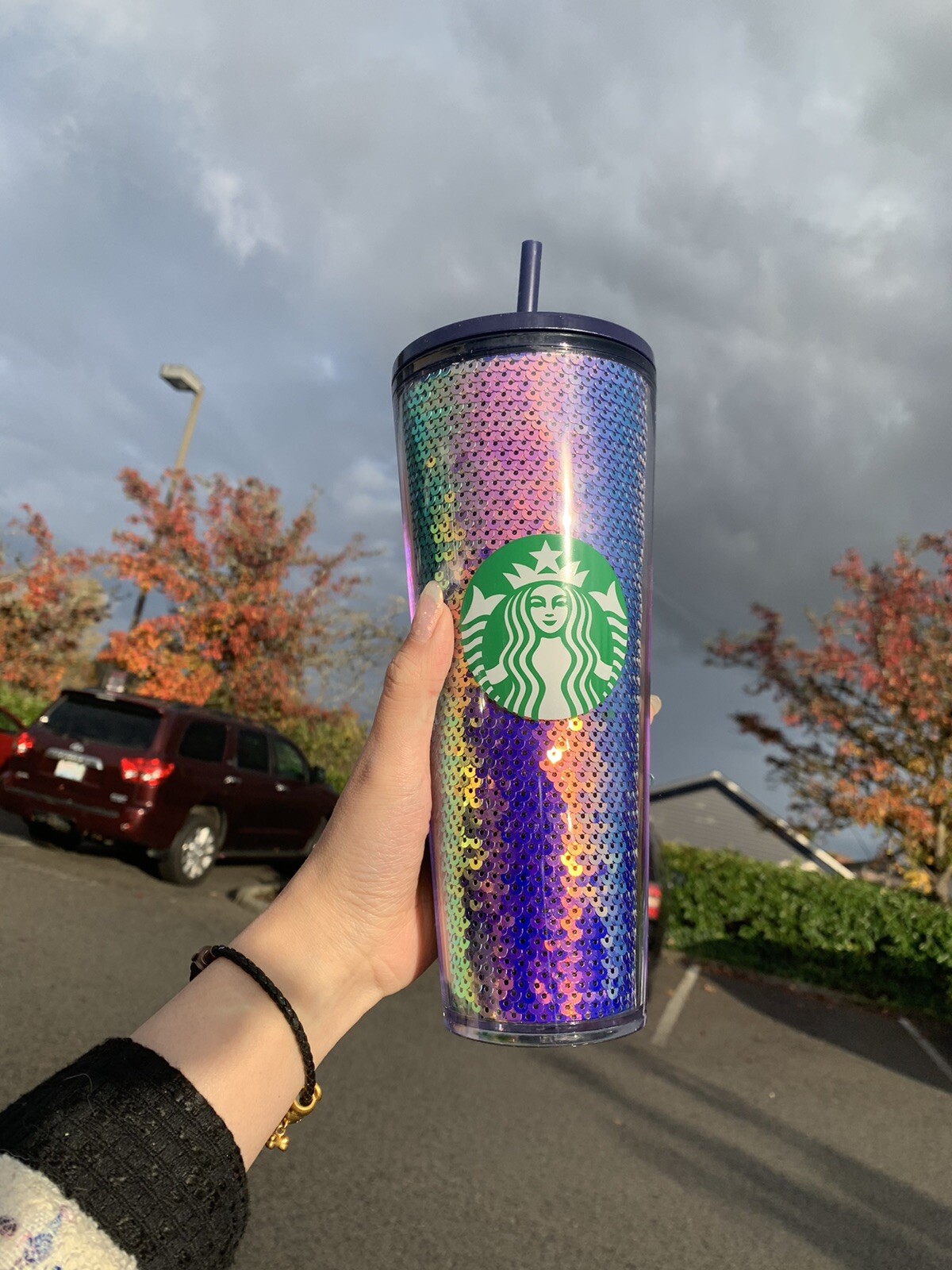 Starbucks 2020 Holiday Cold Cup Tumbler Venti Purple Dark