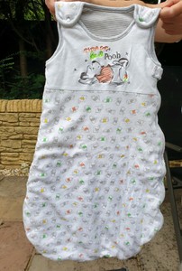 winnie the pooh grow bag