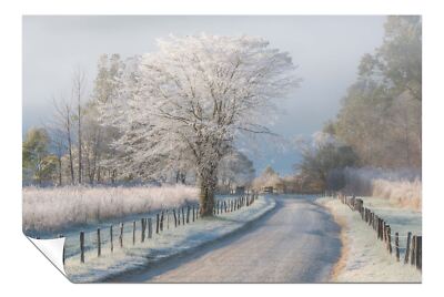 Windy Cold Morning Lonely Road Künstlerisches Poster Wandbild Wohndeko