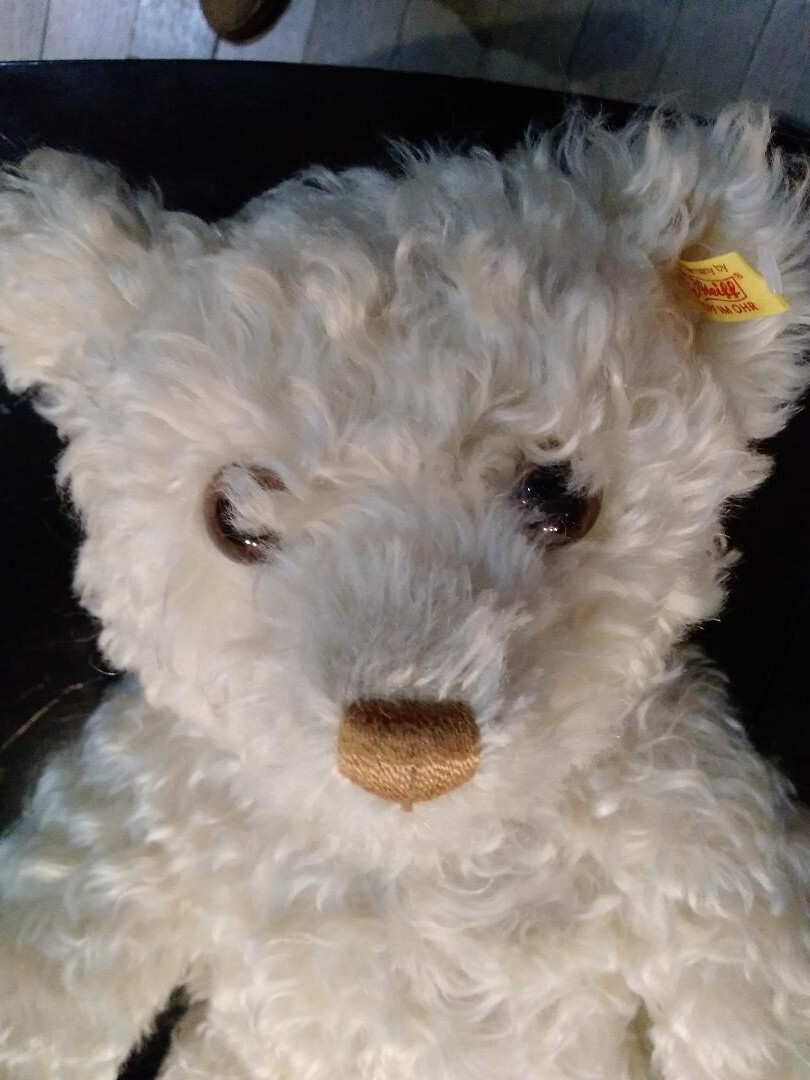 Retired Lovely Classic Steiff Sugar Teddy Bear 027017 | eBay