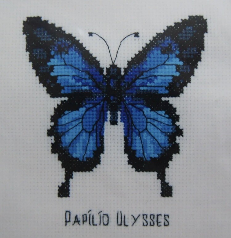 Blue Swallowtail Butterfly Cross Stitch Kit         5” X 5”
