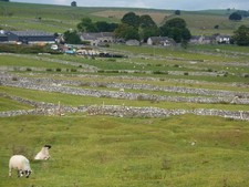 Photo A2 Sheep near Wardlow Wardlow/SK1874 Grazing on land with old min c2011