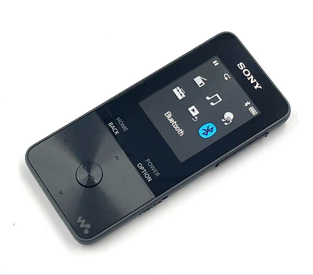 SONY DEGITAL MUSIC PLAYER ＮＷ S313 Sony Walkman NW-S313 Digital Audio Player 4GB MP3 Music