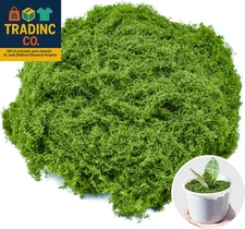 Fake Green Moss for Crafts 5.3 Oz Decorative Artificial Moss for Crafts Decorati