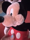 Foto 17 di 18