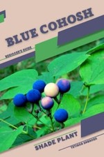 Sabanen - Blue Cohosh  Shade plant Beginner's Guide -