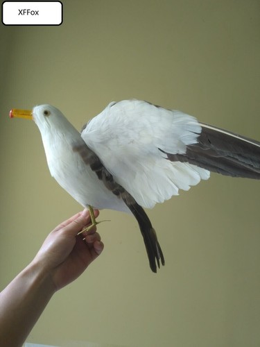 big simulation seagull model foam&feather wings seagull bird gift about 35x55cm - Picture 2 of 5