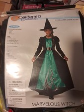 Marvelous Witch Wicked Black Green Fancy Dress Up Halloween Child Costume