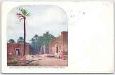 Vintage Sahara Desert Edge Town Postcard with Palm Trees 1909