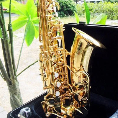 Sax Alto Saxophone YAS-62 Professional Performance with Case and Accessories