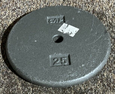 CAP Barbell Standard Grip Weight Plate Gray 25lbs 
