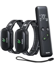 dog training collar with remote 2 dogs