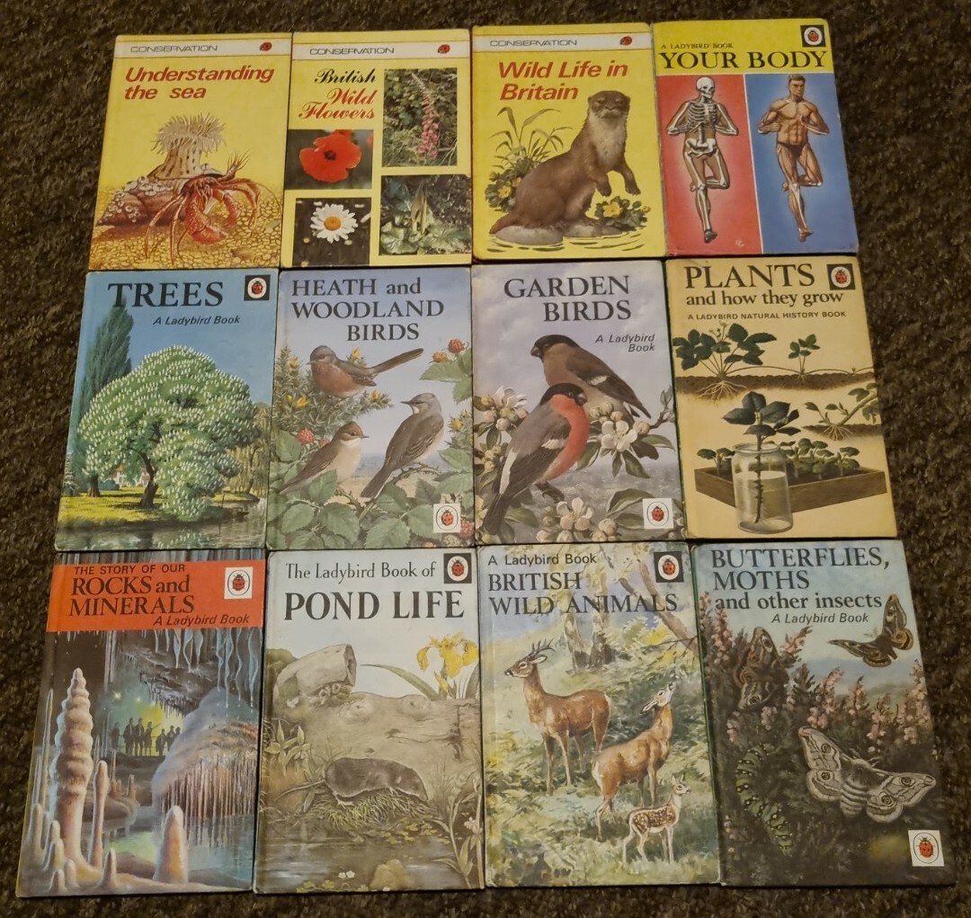 Vintage Ladybird Books Nature Series 536 651 and 727 12 matt