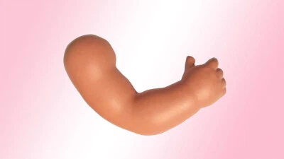 **Original Schildkröt Puppe Arm** Größe 56 rechts / rechter Arm - Bild 1 von 2