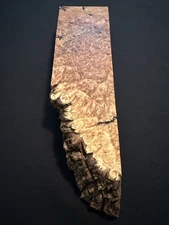 Lace Maple Burl, Live Edge, 13” Long, 3 3/4” Wide, 1 7/8” Thick, Dry