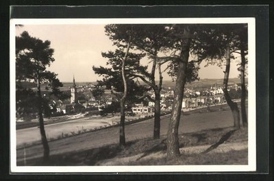AK Trebitsch /Trebic, Blick aus einem Kiefernwäldchen auf die Stadt 1947 