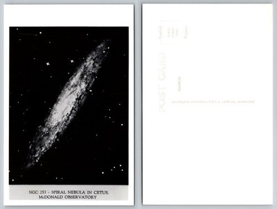 NGC 253 Spiral Nebula Cetus McDonald Observatory Kodak RPPC Astronomy Postcard