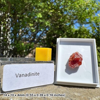 Vanadinit Vanadiumerz 100 % echte spirituelle Heilung Kristall Mineralstein