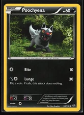 POOCHYENA Phantom Forces #53 PHF(NM)(PKM)