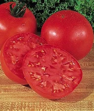 Tomato Burpees Big Boy    250 seeds
