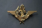 ORIGINAL FRENCH FOREIGN LEGION 1ST RE DINOPS DIVER QUALIFICATION WING BADGE #3