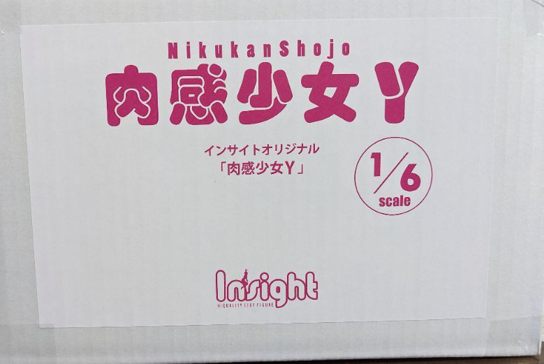 Insight Official Nikkan Girl Y 1/6 PMMA figure 172mm 2021 japan