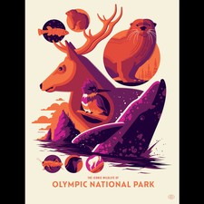Iconic Wildlife Of Olympic National Park by Tom Whalen Print Ltd Edition x/31
