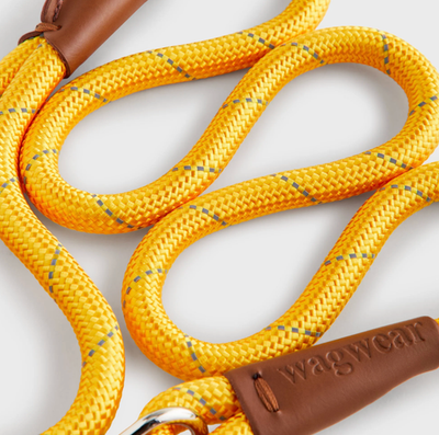 Kith for wagwear Rope Leash | eBay