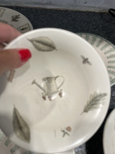 Pfaltzgraff Naturewood dinner plate Set Service For 4 - Picture 14 of 24
