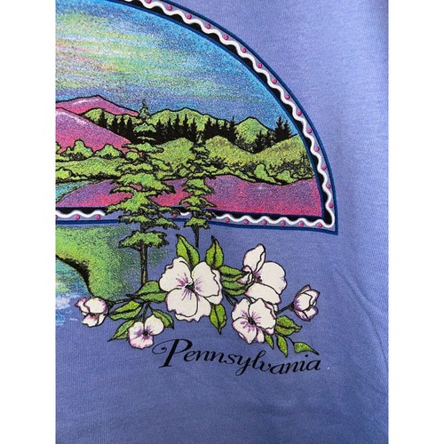Camicia Pennsylvania vintage albero montagna blu maglietta grafica vintage L grande anni 90 - Foto 5 di 11