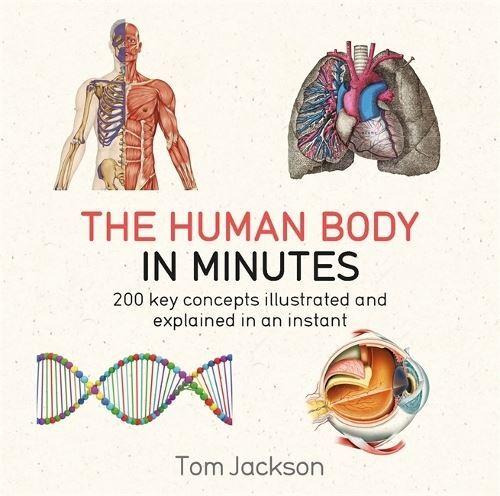 The Human Body in Minutes Tom Jackson Paperback New