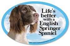 Life's better with a English Springer Spaniel 6" x 4" Oval Dog Magnet for Cars