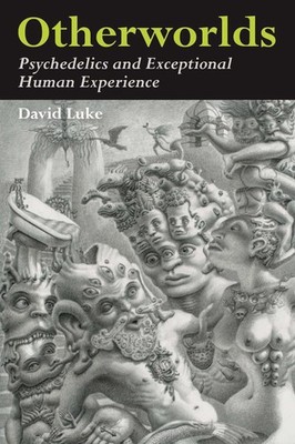 Otherworlds: Psychedelics and Exceptional Human Experience by David Luke Paperba