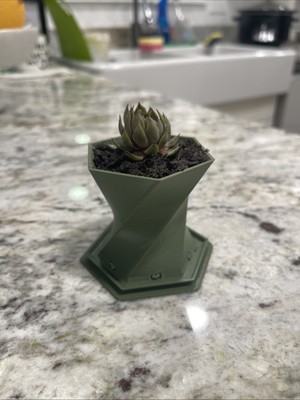 3d Printed Flower Pot (any color)