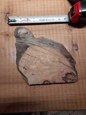 3/4 Inch Thick Ceder Burl Slice