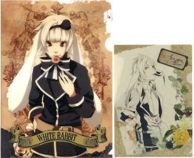 Clear File White Rabbit Set Are You Alice Q Anniversary Lottery E Prize Super Co