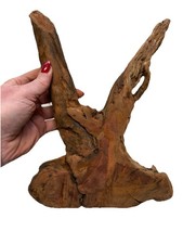 Manzanita Root Slab - 11  x 9  x 3  