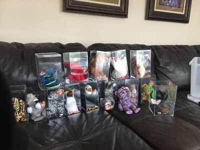 beanie baby containers