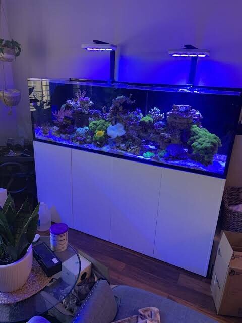 AI hydra 52 HD - White LED light For Marine Reef Tank Coral Salt